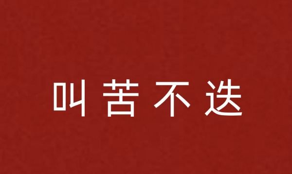 叫苦不迭的近义词反义词,叫苦不迭拼音图3