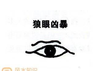 狼眼什么眉成语,四字成语X眉X眼图3