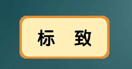 标致的近义词反义词,标致的近义词是什么反义词是什么图2