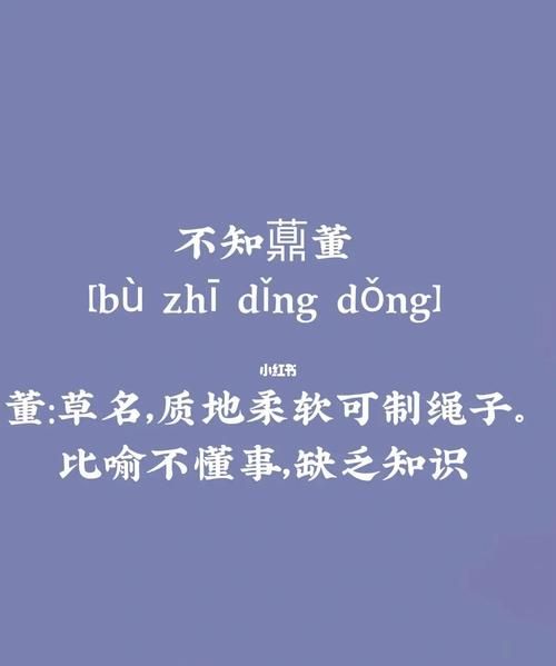 不知的成语,不知的四字成语有哪些图2