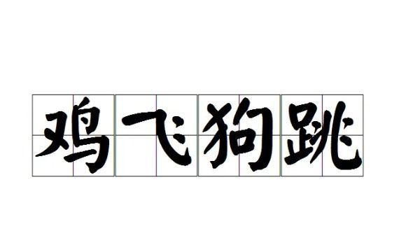 鸡飞狗跳的近义词反义词,鸡飞狗跳的反义词是什么图4