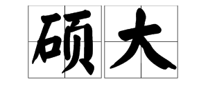 硕大的反义词和近义词,硕大—近义词、平静—反义词、典雅—反义词、溶化一反义词图1