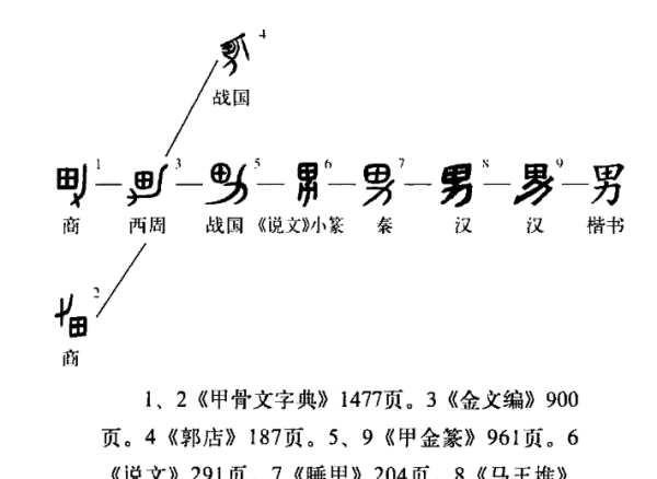 男字的笔顺女字的笔顺,男笔顺怎么写图2