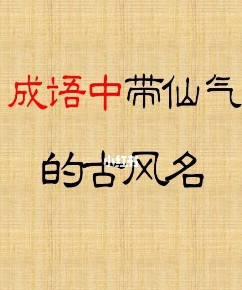 名什么名什么成语,名有什么成语开头图3