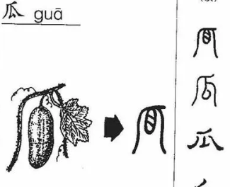 瓜字的笔顺怎么写,瓜的笔顺笔画顺序表口图4