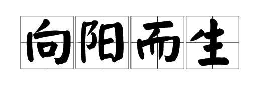 成语向阳而生什么意思,向阳而生聚力而行意思是什么图1