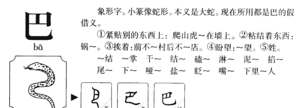 巴字的笔顺正确的写法,简单的笔顺有哪些图6