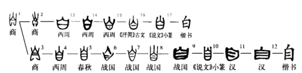 自字笔顺,自的田字格正确写法笔顺平图4