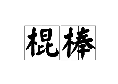 棍笔顺组词,棍十六个常见字图7