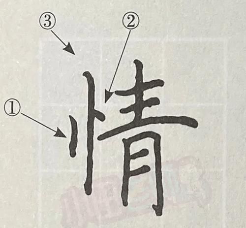 情的笔顺笔画,情字笔画笔顺怎么写的图4