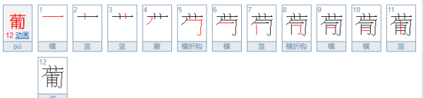 葡的笔顺,葡字笔顺图3