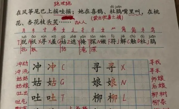 娘的笔顺,娘的笔顺图4