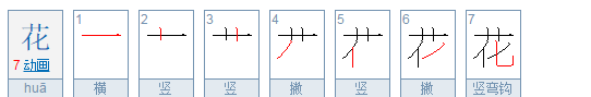 花的笔顺,花朵的花字的笔顺怎么写图2