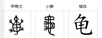 龟字笔顺笔画,爽的笔画顺序是什么图6