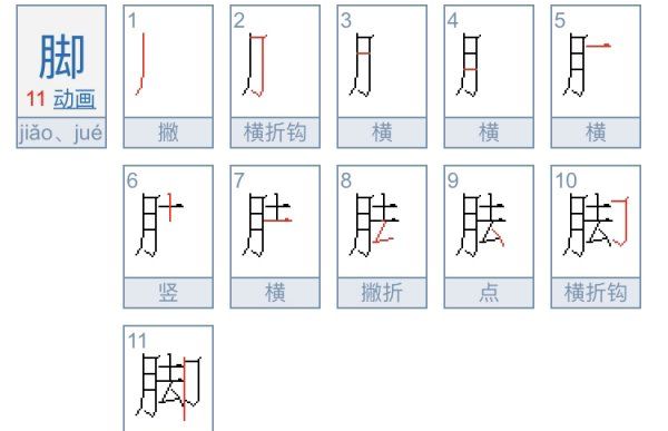 脚的笔顺,脚笔顺笔画顺序怎么写的图1