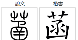 菡字笔顺怎么写的笔,菡字笔画顺序怎么写的图7