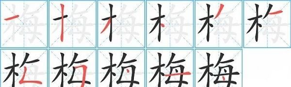 梅字笔顺,梅的笔画顺序怎么写图4