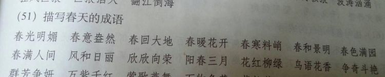 春字成语,带有春字的成语图3