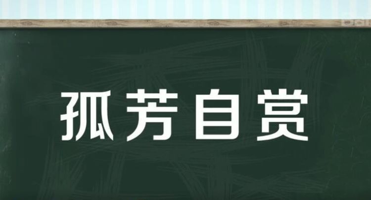 格外近义词是什么,格外的近义词图3