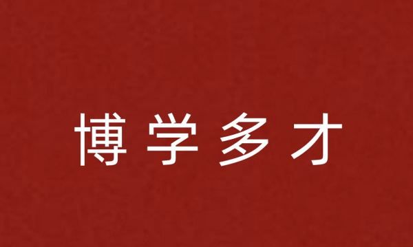 丰富成语有哪些词语,形容很丰富的成语有哪些词语图3