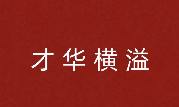 丰富成语有哪些词语,形容很丰富的成语有哪些词语图6