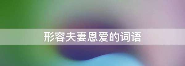 爱丈夫的词语,形容爱人的成语图2