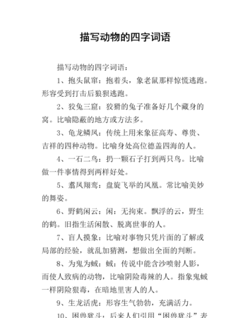 动物名称的词语,有关动物名称的词语有哪些图4