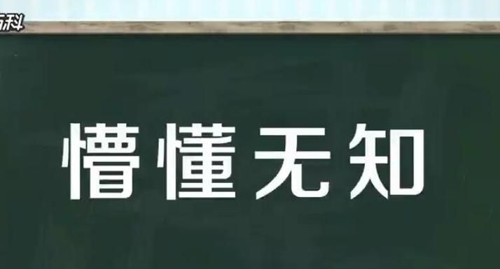 聪明的反义词是什么,聪明的反义词是什么图2