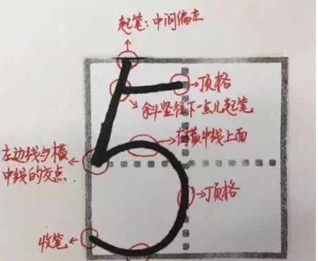 数字5的笔顺,五在田字格的标准写法图14