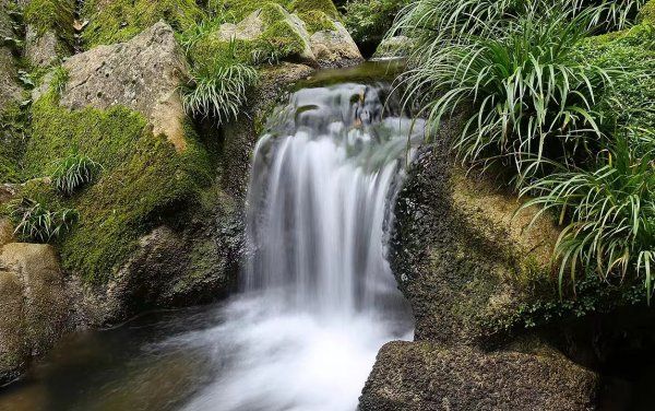 永笔顺怎么写,永笔画顺序怎么写图5