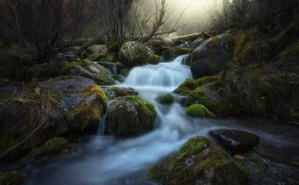 永笔顺怎么写,永笔画顺序怎么写图6