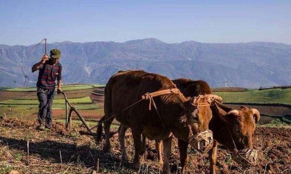 劳的笔顺,劳的读音图1