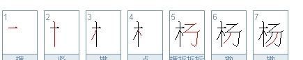 杨的笔顺笔画,杨字笔顺怎么写好看讲解图4